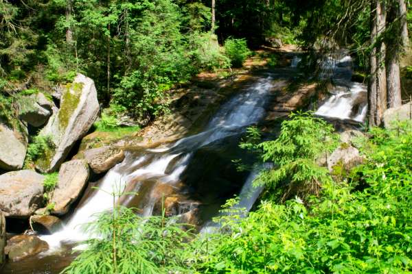 Beech waterfall