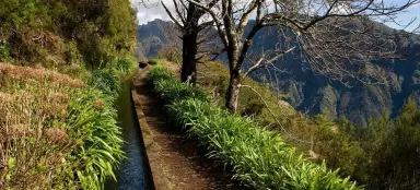 Levada