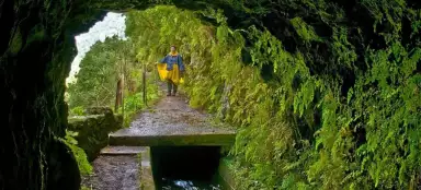 Levada da Ribeira da Janela