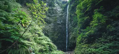 Cascade