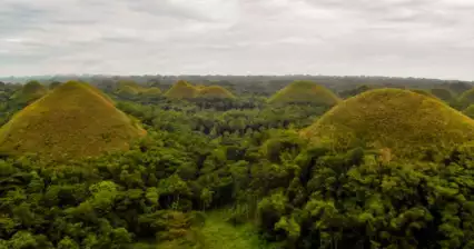 Chocoladeheuvels op Bohol