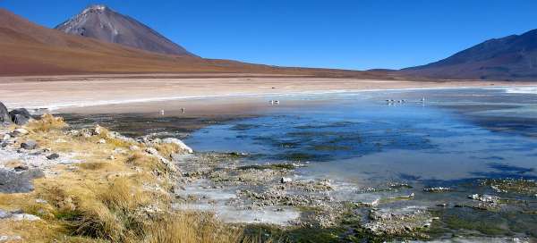 Laguna Blanca: Počasí a sezóna