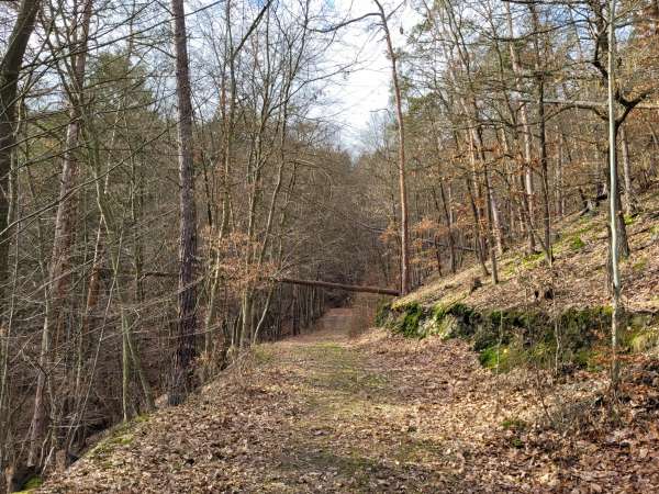 The road to the lookout