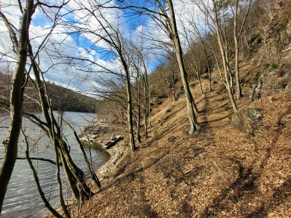 Sentier jusqu'au belvédère