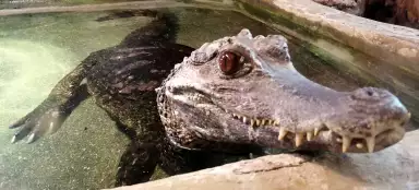 ZOO Wroclaw