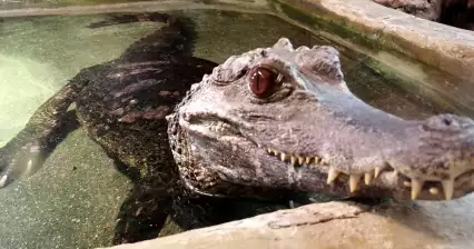 ZOO Wroclaw