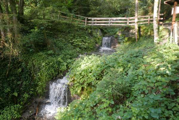 Straße durch den Wald