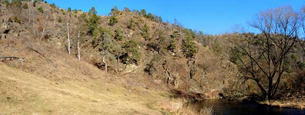 Mohelen slangen steppe