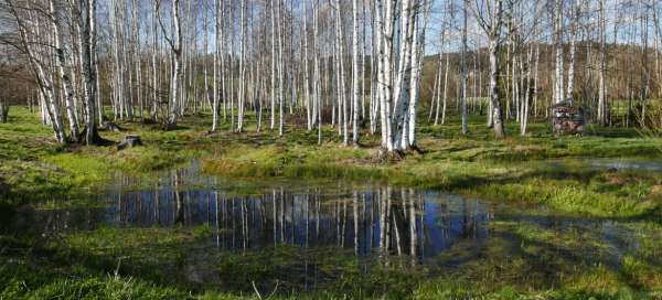 A walk from Křižánky to the Svratka meanders: Weather and season