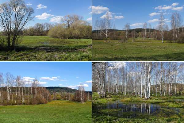 Nature reserve Meandry Svratky u Milov