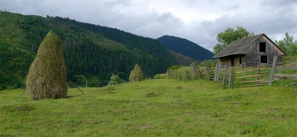 Zakarpattian meadows with barns