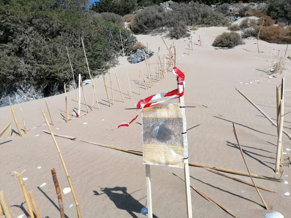 The place where turtles lay their turtle eggs