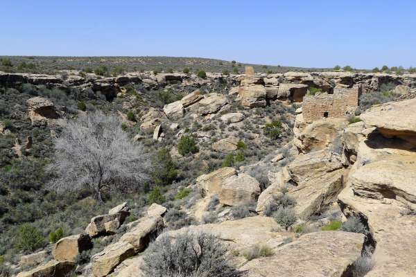 Arid landscape