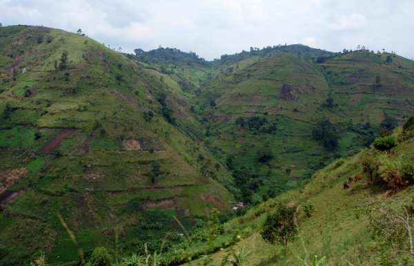 Downhill to the lowland via Buranga Pass