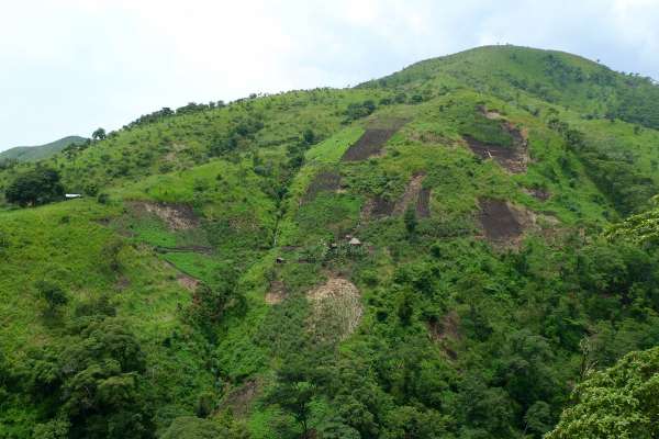 Fields on steep slopes