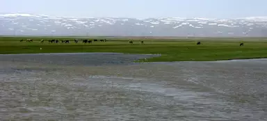 Ардахан и Карс