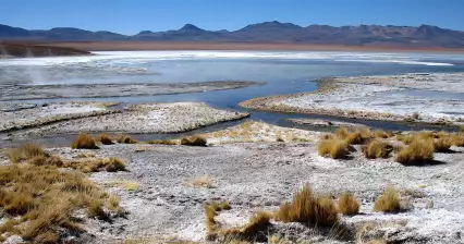 Laguna Salada