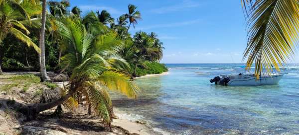 Île Saona: Météo et saison