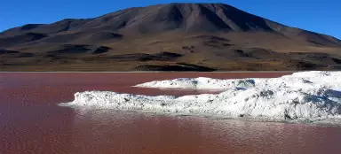 라구나 콜로라도