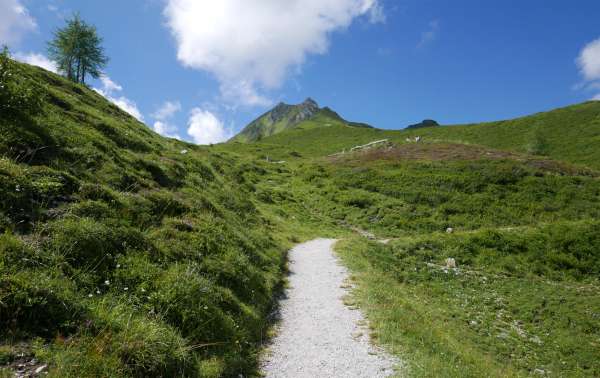 Caminhe até o mirante