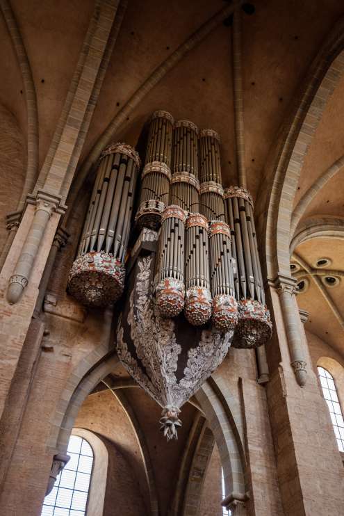 Organ