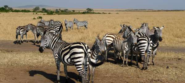 Die schönste Safari in Tansania: Wetter und Jahreszeit