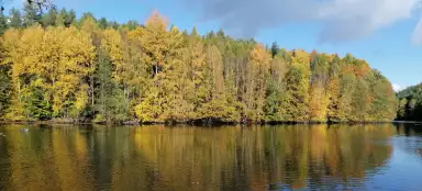 Vidlák-Teich