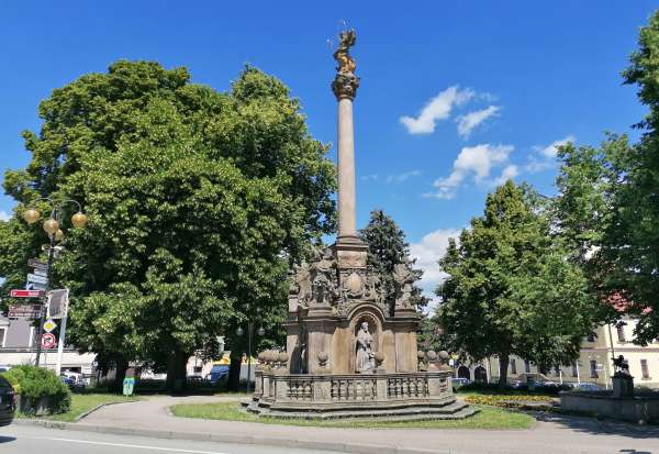 Colonna mariana a Žamberk