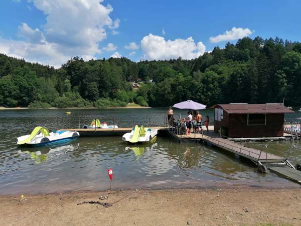 Water sports on Pasture