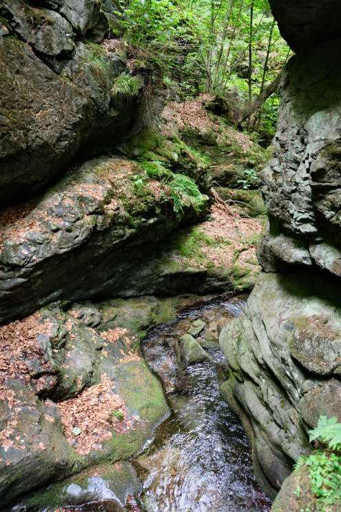 Gorge du ruisseau d'argent