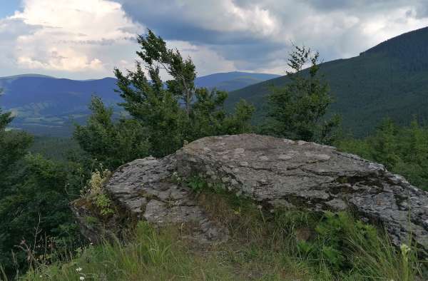 Vista del abuelo