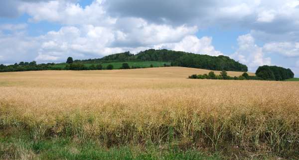 Widok na Spitzberg od południa