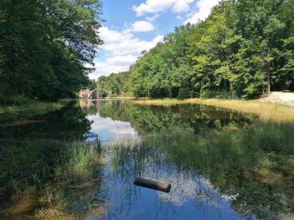 Der See rund um die Rakotzbrücke