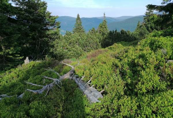 Sob a cordilheira principal das montanhas Jeseníky