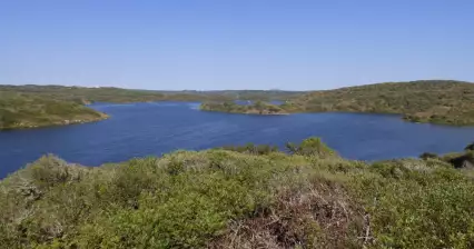 Es Grau 주변의 아름다움 발견하기