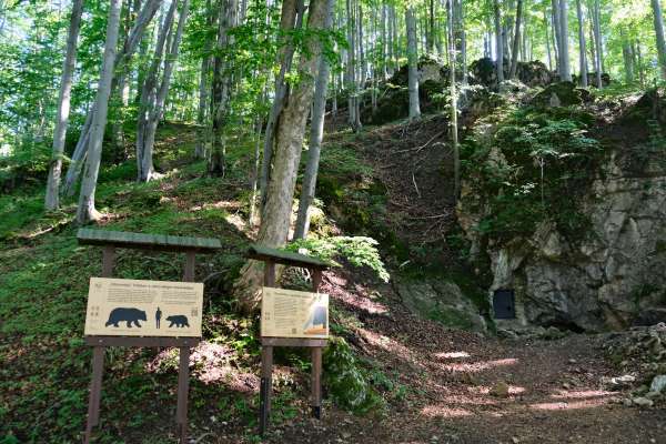 Grotte de l'ours près de Svoboda nad Úpou