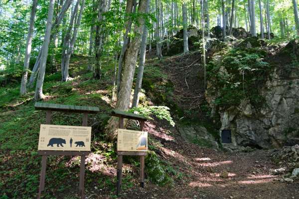 Caverna do urso perto de Svoboda nad Úpou