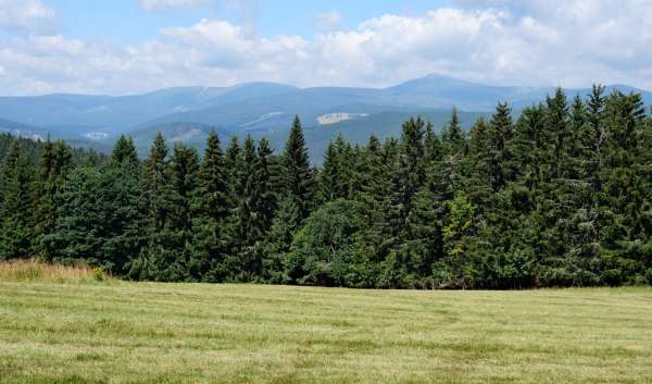 View of Sněžka