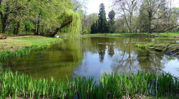 Un pequeño lago en el parque del castillo.