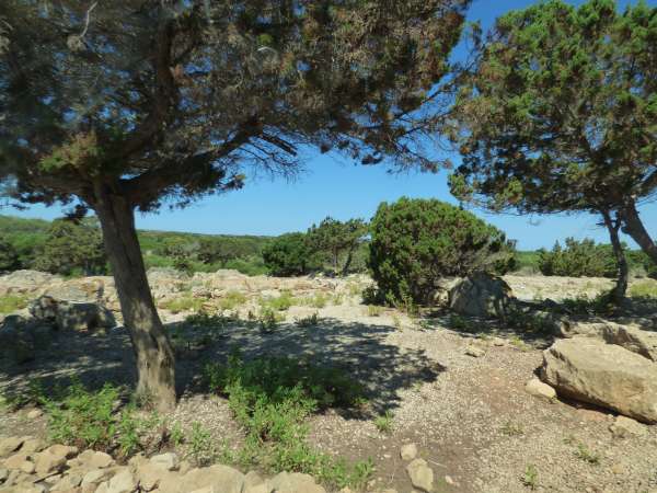 Remains of the city of Sanisera