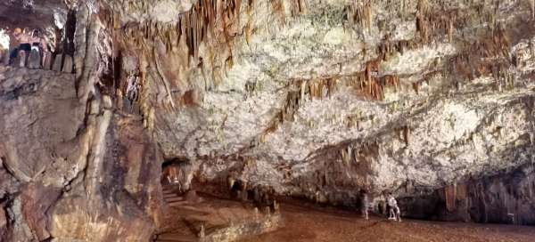 Jeskyně Drogarati