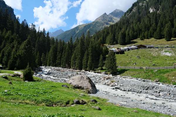 View from the meadow