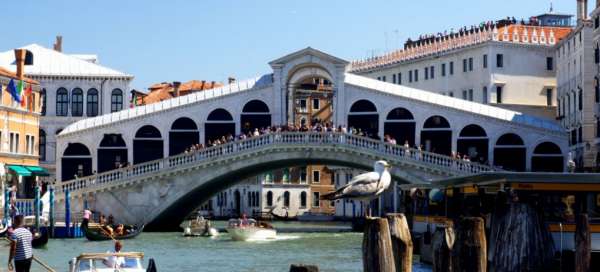 Ponte di Rialto: Počasí a sezóna