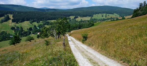 Wandeling Rýchory - Horní Albeřice - Lysečiny