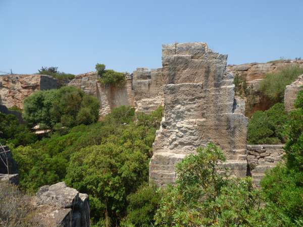 Giardino botanico