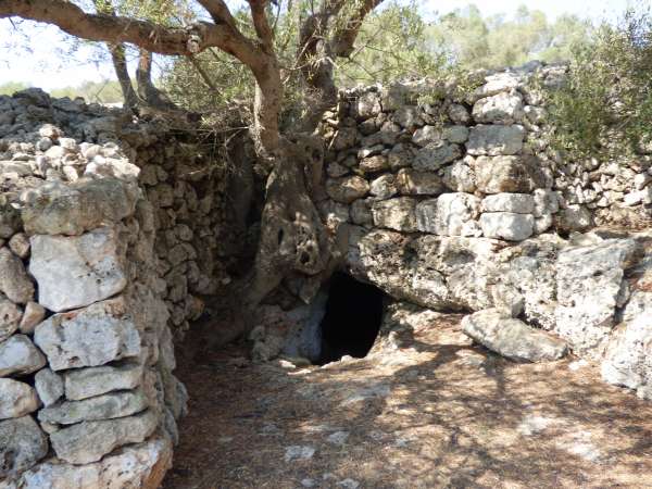 Hypogeum