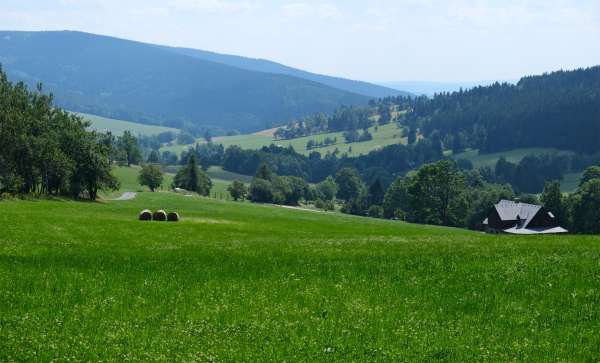 Blick auf das Tal des Albeřický-Bachs