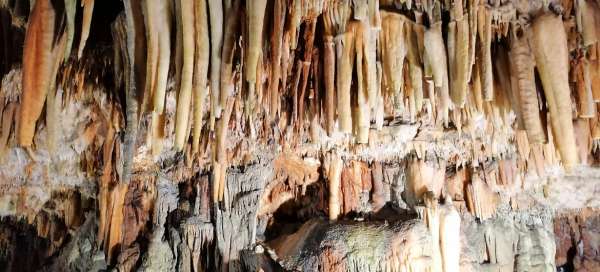 Excursión a la Cueva Drogarati