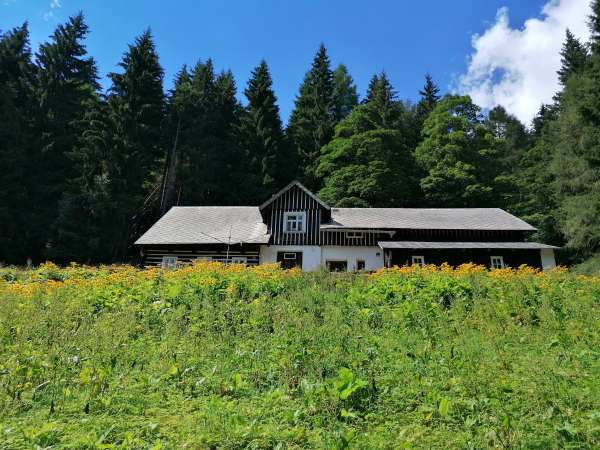 Idillio di montagna