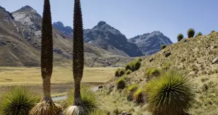 Dolina Rio Pumapampa